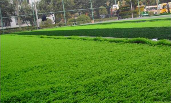 人造草坪 人造草坪